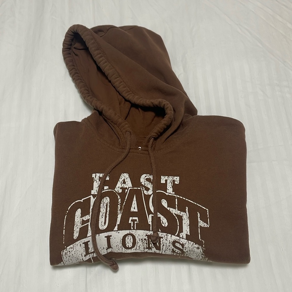 Hollister Brown Pull Over  Hoodie